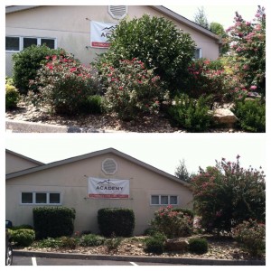 Before and after of shrubs and beds at a private school