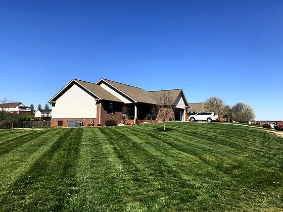 Spring green-up on a well-fed lawn