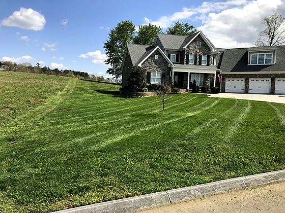 A young lawn established on a new build