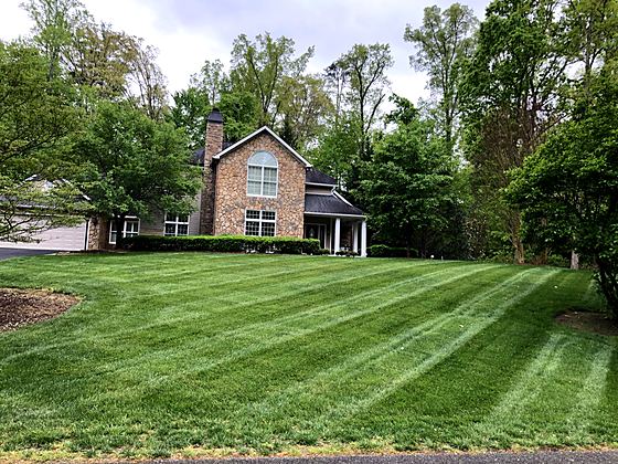 A full, healthy front lawn after a season of care