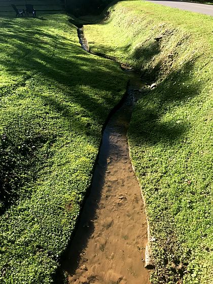 A creek bank trimmed clean, top to waterline