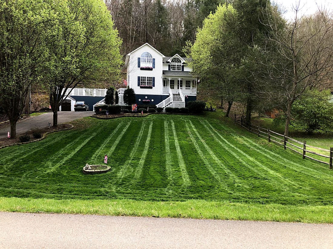 Thick striped lawn after a season of treatments